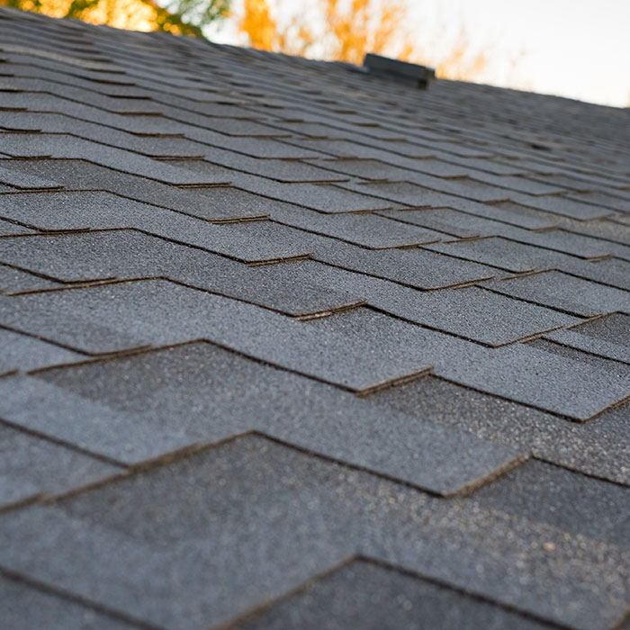 Trustworthy Background